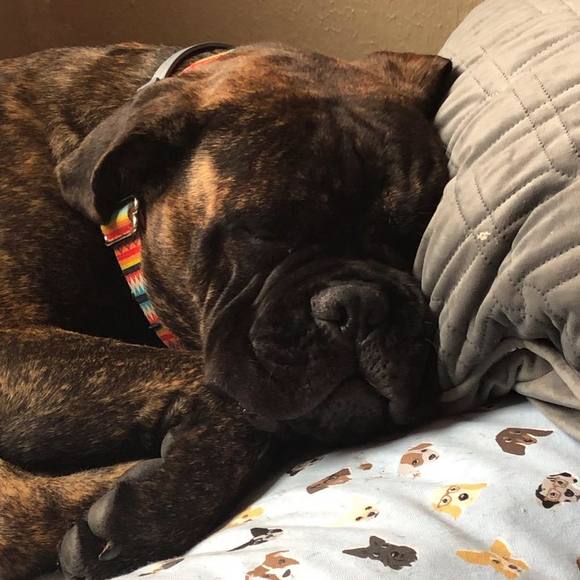 Meet your Posher, Amy - Picture 1 of 1